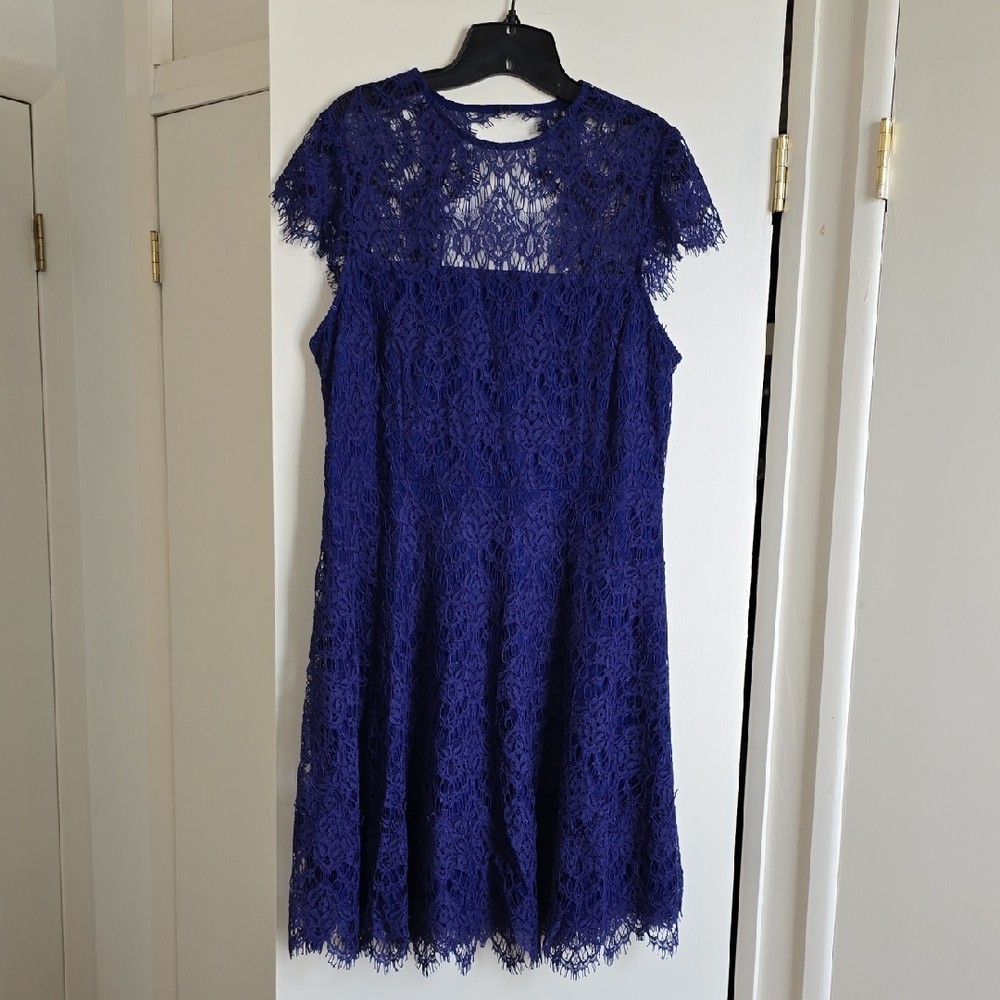 Julia Jordan Royal Blue Lace Dress